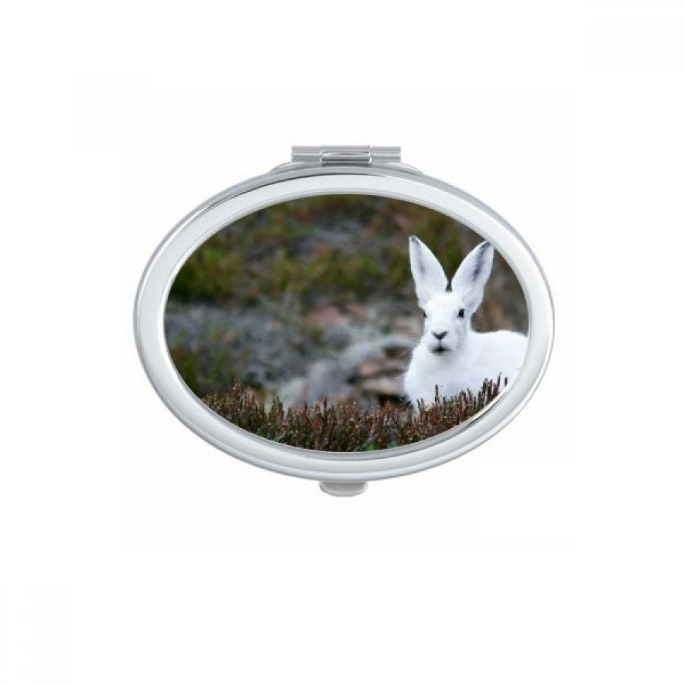 Miroir de poche compact ovale avec design nature science et flux d'eau