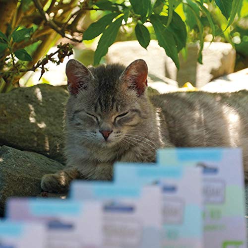 MjAMjAM - Premium Katzensnack - Snackbox - köstliches Pferdefilet, 1er Pack (1 x 40 g), naturbelassen ganz ohne synthetische Konservierungsstoffe