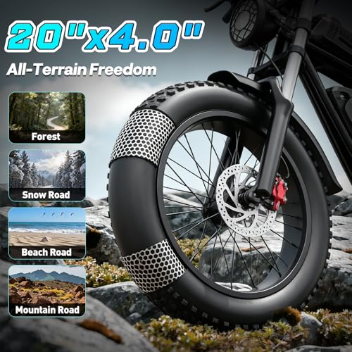 YVY Adult Electric Bike