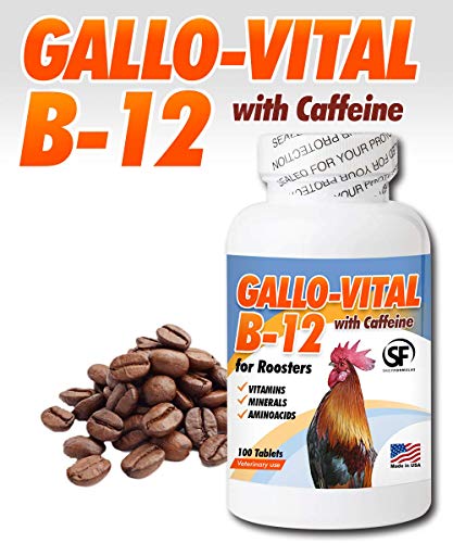 Gallo Vital B12 with Caffeine for Roosters (100 Tables)