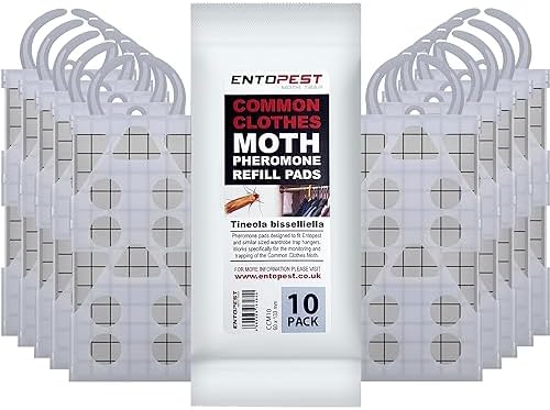 Moth Traps (4 Pack) for CLOTHES, CARPETS, WARDROBES & DRAWERS ...