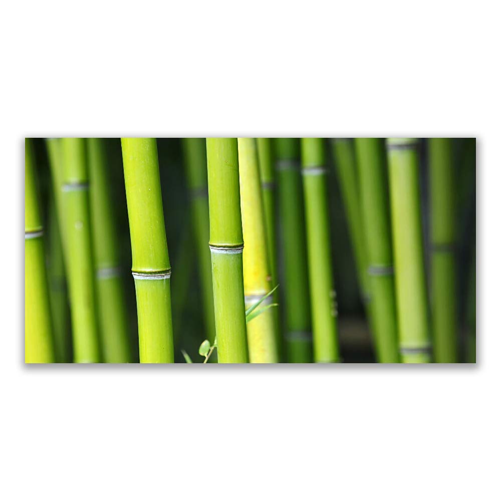 Tableau en verre trempé Tulup 140x70cm pour remplacer le plastique par une déco nature bamboo
