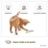 Ver la foto 4