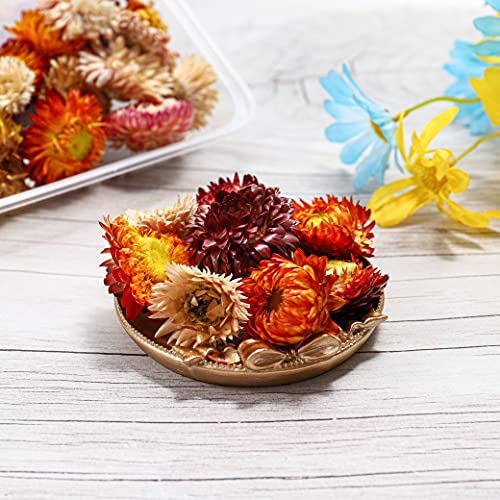 1 Box Real Dried Flower Resin Mold Fillings UV Expoxy Flower for Epoxy Resin Molds Jewelry Making Craft DIY Supplies Accessories (Chrysanthemum)