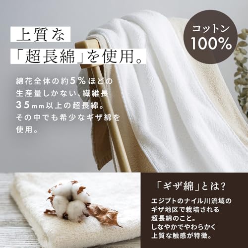 アイリスプラザ フェイスタオル 1枚 ボリューム吸収 ライトグレー 綿100% 軽量速乾 タオル 薄手 ふわふわ 高速吸収 耐久性 [4]
