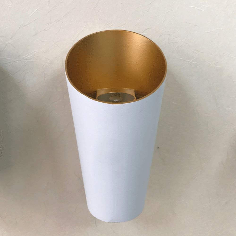 Lampe murale LED 6W blanc et or luminaire chic pour salon