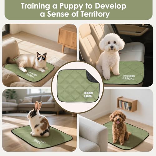 Image of Washable Dog Training Pads - Reusable Puppy Pads 60x45 cm, Moisture & Waterproof Pet Mat, Fast Drying, Scratch Resistant for Dogs & Cats (Army Green, 1 Pack)