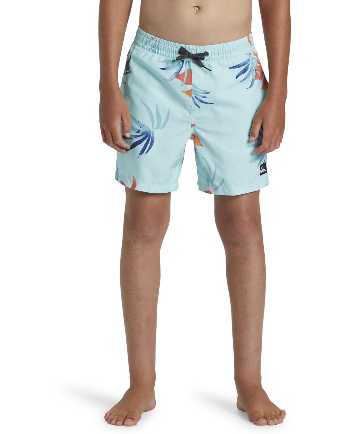 Quiksilver Everyday Mix Volley - Short de Natación para Chicos 8-16