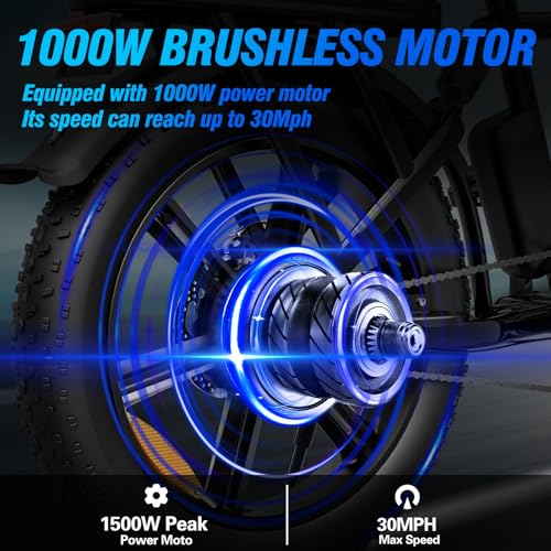 2 Seater Electric Bike 1000W