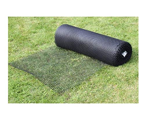 ZGQSW Plastic Fence Net, Breeding Net, Child Safety Net, Lawn Protection Net, Black, 10m 15m 30m 50m (Color : Mesh0.8mm, Size : 1 * 50m)