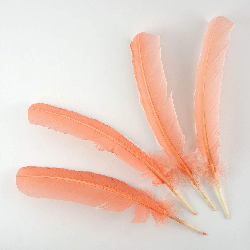 Zucker 10-12 inch Turkey Feathers for Crafts - 4pc Quills for DIY Headdress, Dream Catcher, Home Decor - (Apricot Blush)