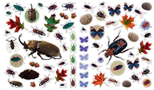 Eyelike Stickers: Bugs - Image 5