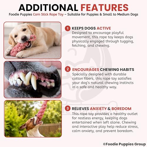 Image of Foodie Puppies Durable Cotton Rope Chew Toy for Dogs (Corn Stick) | Chewing, Fetching, Playing, Teething & Training for Small to Medium Dogs & Puppies (Color May Vary)