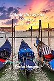  Cidade da Arte de Veneza: Uma visita rápida (Portuguese Edition)
