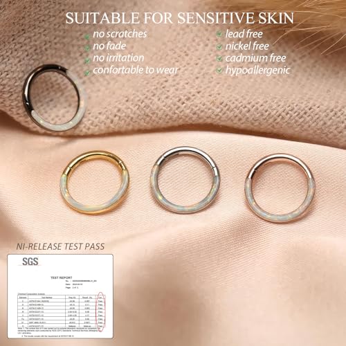 Image of PEAKLINK 16G 18G 316L Stainless Steel CZ /OPAL Septum Piercing Septum Clicker Ring Hinged Nose Ring Daith Earrings Conch Piercing Jewelry Helix Cartilage Tragus Lobe Belly Hoop Earring