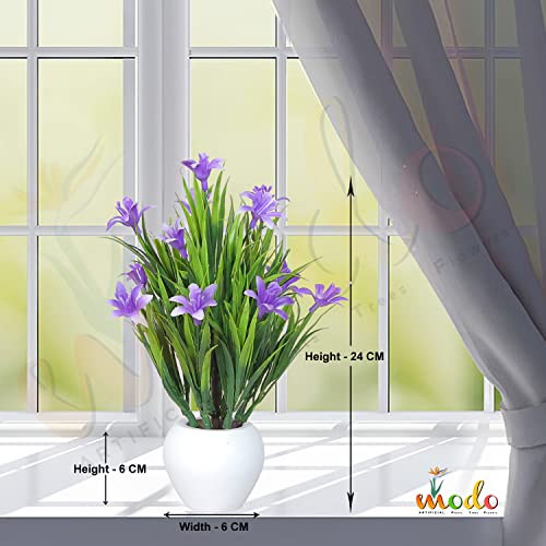 Image of Modo Combo of 2 Artificial Plants with Apple Pot for Home & Office Decor /Guldasta (21 CM) -Blue