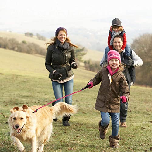 3 Pack Dog Leash 5 Ft Heavy Duty Rope Dog Leash With Comfortable Padded Handle Durable Reflective Threads Strong Dog Leash For Medium Large Dogs #TOP6