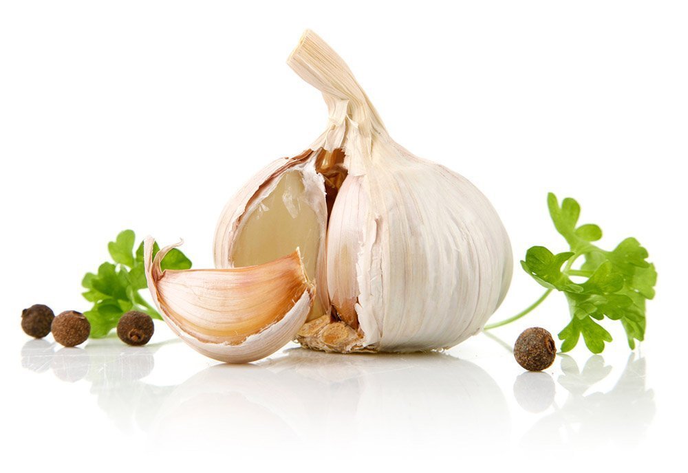 Knoblauch fein gemahlen, Gewürz – Knoblauch, Knoblauchpulver, Premiumqualität aus Europäischer Union. PP - Eimer 15 KG