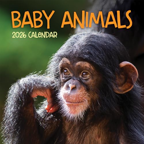 TF Publishing 2026 Baby Animals Wall Calendar - Large Grids for Appointments and Scheduling - Vertical Monthly Wall Calendar 2026 with Premium Gloss Paper for Home and Office Organization - 12x12in