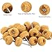 50 PCS Abrasive Buffing Wheels,1 Inch Buffing Polishing Wheel Set for Rotary Tool Accessorie 1/8'' (3mm) Shank, Yellow 80 Grits for Metal,Wood, Rust Removal