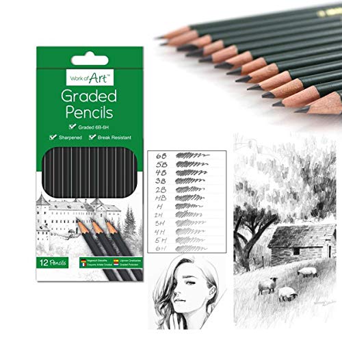 12 lápices de dibujo de dibujo de arte graduados 6B-6H tonos de dibujo claros oscuros o niños y adultos juego de lápices profesionales para estudiantes artistas profesores Cover