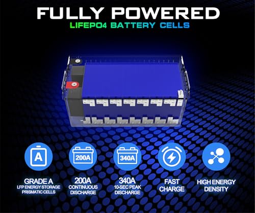 Image of 48 Volt 100Ah Lithium Golf Cart Battery, 48V LiFePO4 Battery with 10A Charger, Gauge, 200A BMS, 4000+ Cycles, 4.8 kWh Energy, Perfect for Golf Cart, RV, Marine, Lawn Mower