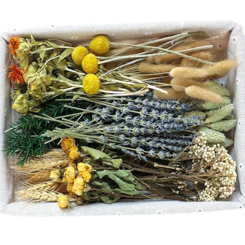 xin's convey DIY Natural Dried Flower Set, Bulk...
