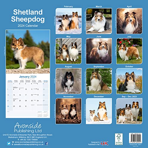 Shetland Sheepdog Calendar 2024 - Image 2