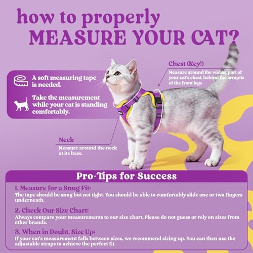Image of rabbitgoo Cat Harness and Leash Set, Escape Proof Vest, Purple & Yellow | Soft Breathable Mesh, Easy Adjustable Fit, Snap Buckles, Sturdy Clip, Reflective Strips, for Average Cats Walks, S