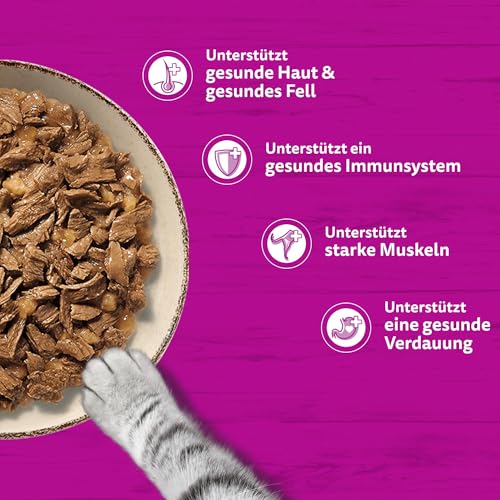 Whiskas 1+ Katzennassfutter Ragout Geflügel Auswahl in Gelee, 40x85g (1 Packung) – Hochwertiges Nassfutter für ausgewachsene Katzen in 40 Portionsbeuteln