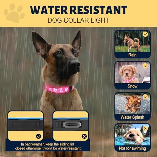 TOPOTO Light Up Dog Collar, 3D Design Adjustable Dog Collars 15 Glowing Modes Rechargeable Night Walk Safety Collar for Small Dogs, Pink - image 5