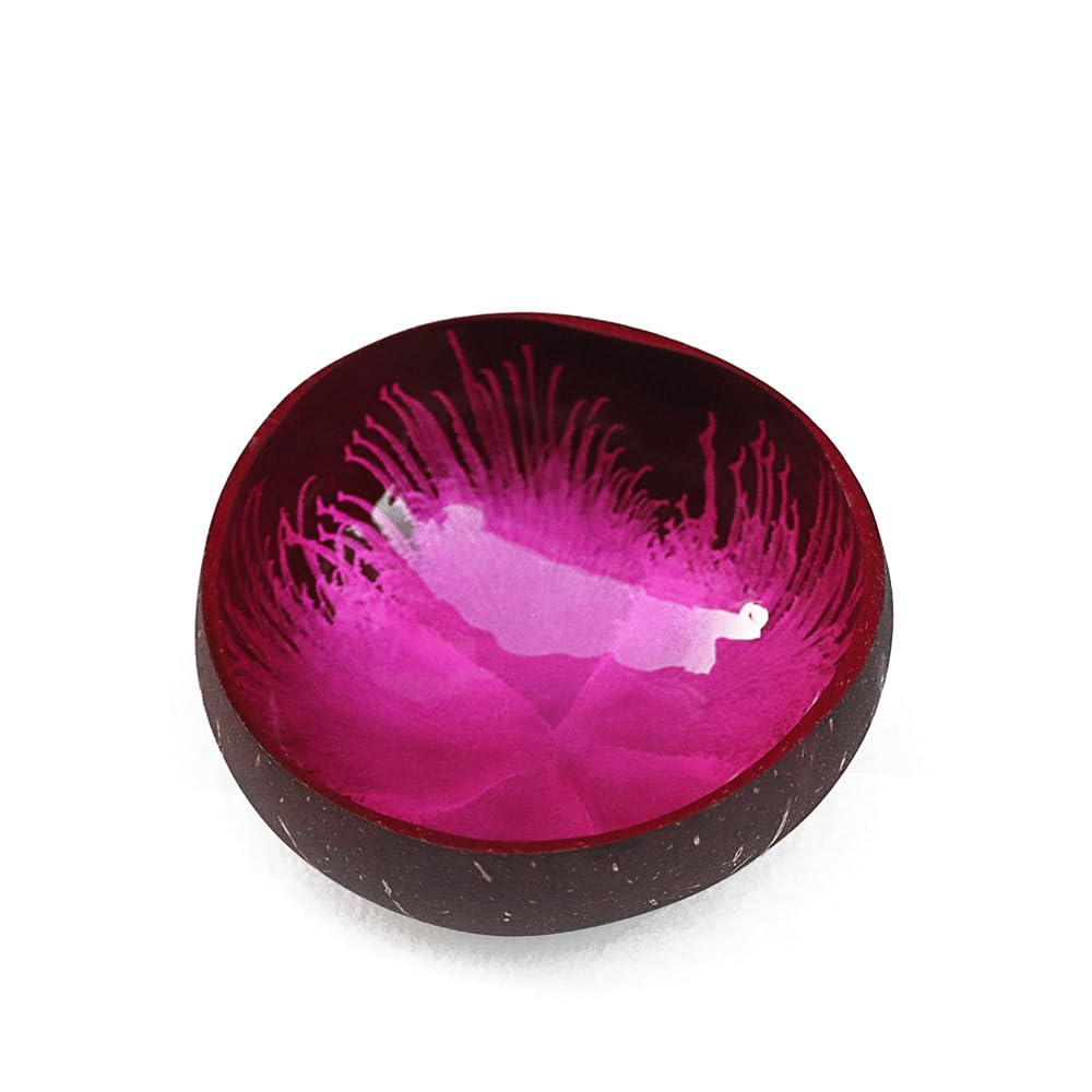 Hiseng Key Bowl - Hand Painted Coconut Bowls, Inkjet Printing Decorative Pink Key Bowls for Hallways and Jewellery Storage