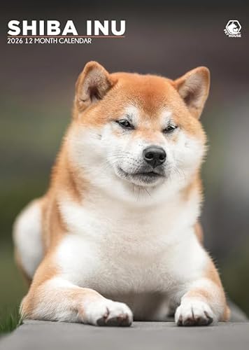 Calendario 2026 con cane Shiba Inu, formato A3, rilegatura a spirale, a colori
