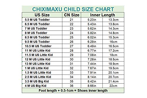 Little Girl's Rose Bow Mary Jane Dress Shoe 8 M US Toddler2