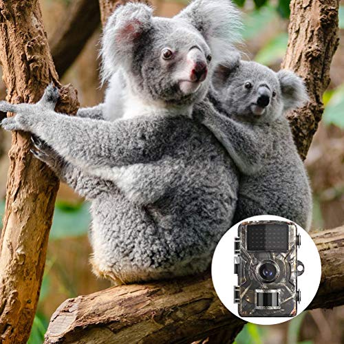 ABOOFAN Câmera de caça de 12 MP PIR Night Vision Digital Scouting Câmera bateria