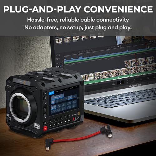 Image of Locking EVF and Monitor Cable for Blackmagic Pyxis and URSA Cine 12K Viewfinder | High Speed for 3.1 3.2 USB C | 20 Gbps | 100W | Secure Lock | (15cm (6 inch) - RED)