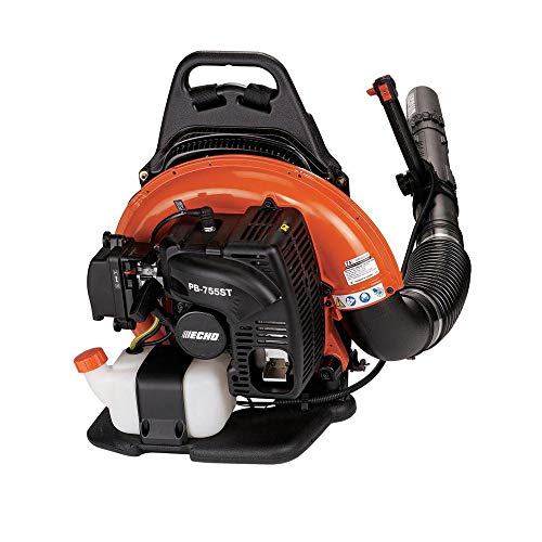 Best Echo 755St