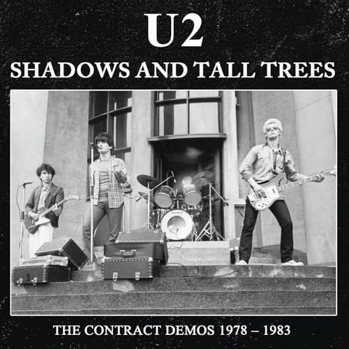 Shadows And Tall Trees