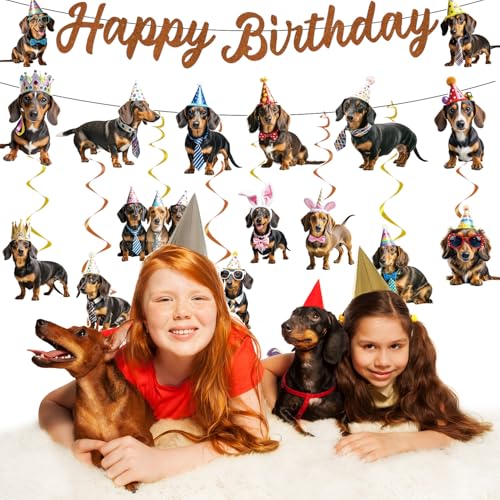 Image of 10Pcs Dachshund Birthday Party Decorations Weiner Dog Banner with Hanging Swirls Decor Dachshund Dog Party Supplies Puppy Bday Decoration