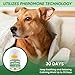BKRMART Dog Calming Diffuser 48ml Dog Pheronome Calming Diffuser Vet-Recommended Dog Calming Diffuser Kit to Reduce Stress, Fighting, Anxiety, Scratching Pheronome Diffuser for Dog (Pack of 3)