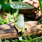 Photo Gallery eysinyge piccola statuetta da giardino a forma di rana con ombrello a foglia, statua di rana in resina da 15,2 cm, graziosa decorazione da giardino, divertente ornamento da cortile, regalo unico per Photo Gallery eysinyge piccola statuetta da giardino a forma di rana con ombrello a foglia, statua di rana in resina da 15,2 cm, graziosa decorazione da giardino, divertente ornamento da cortile, regalo unico per