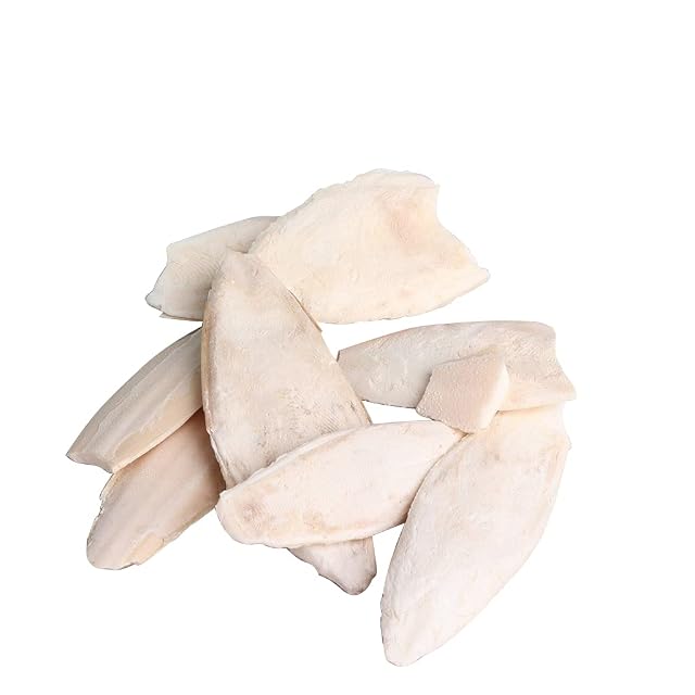 Foto 8 de 8 de U-K 1 bolsa Cuttlebone para calamar, sepia, huesos, calamar, pienso para pájaros, calcio, pickstone pet