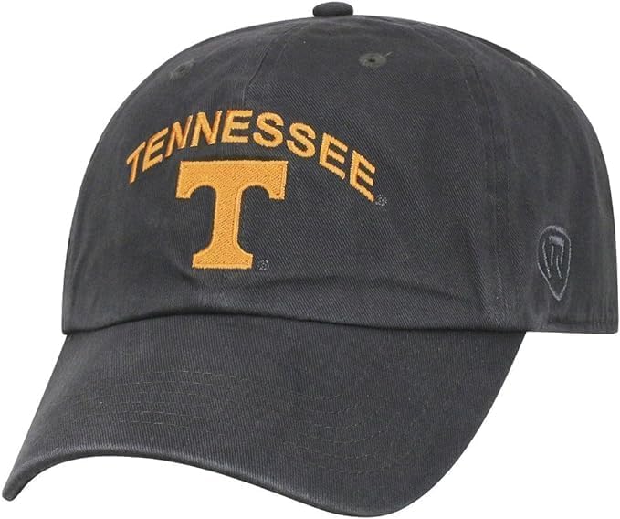 Collegiate Primary Color Team Arch Adjustable Hat - Officially Licensed School Colors, Made In USA