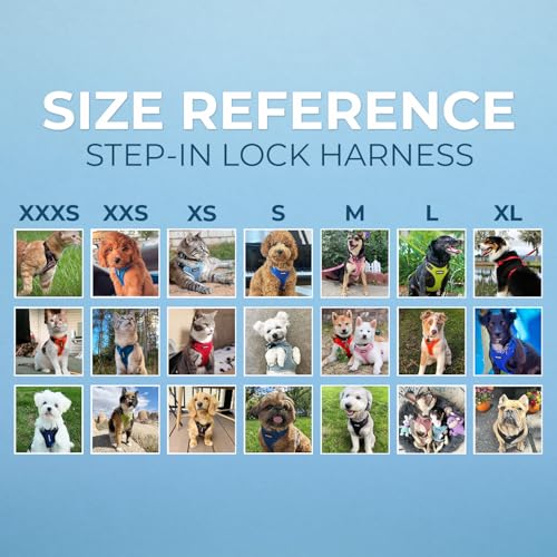 Image of Best Pet Supplies Voyager Step-in Lock Pet Harness w Reflective Pet Leash Combo Set with Neoprene Handle 5ft - Supports Small, Medium and Large Breed Puppies /Cats - Red, S