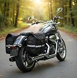 Baslu Alforge para Moto 60L – Super Espaçoso, Impermeável e Resistente, Ideal para Viagem,...