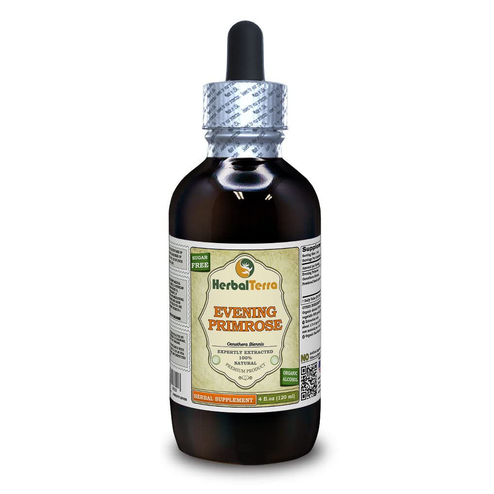 Evening Primrose (Oenothera Biennis) Tincture, Dried Seeds Liquid Extract (Brand Name: HerbalTerra, Proudly Made in USA) 4 fl.oz (120 ml)