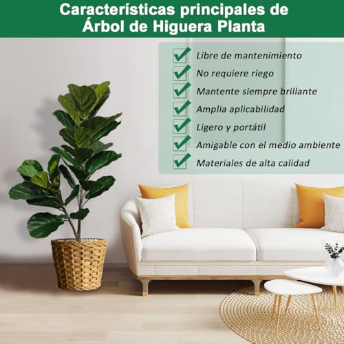 De Cuerdas, Musical Instruments Imagen adicional