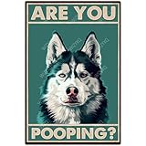 Photo Gallery wizyxq targa in metallo con cane husky are you pooping divertente targa vintage in alluminio decorazione da parete targa per la casa per bagno wc cortile 20,3 x 30,5 cm Photo Gallery wizyxq targa in metallo con cane husky are you pooping divertente targa vintage in alluminio decorazione da parete targa per la casa per bagno wc cortile 20,3 x 30,5 cm
