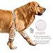 ROZKITCH Dog Surgery Leg Sleeve for Front Legs, Pet Prevent Licking Wound Elbow Knee Protector, Dog Leg Sleeve to Stop Licking Cone Collar Alternative for Sprain ACL CCL Arthritis Cute Dog L