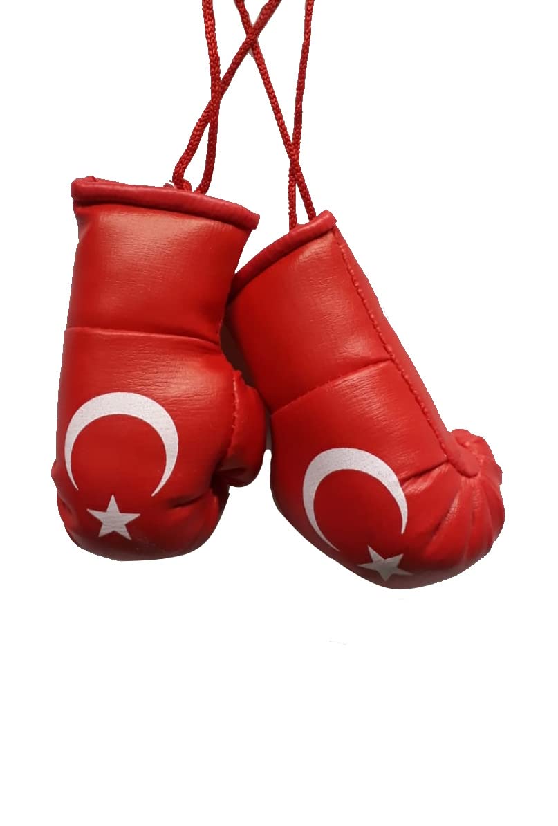 Red Hat Ent Mini Gants De Boxe Suspendus Pour Rétroviseur De